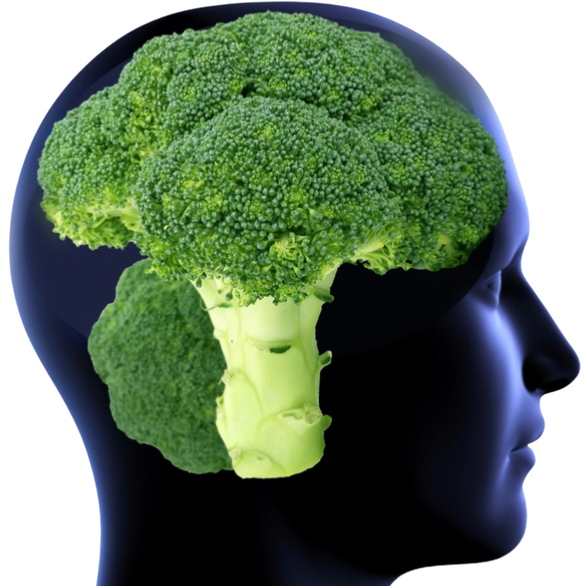 Image of head with broccoli for brain