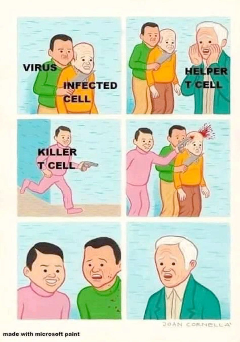 cartoon with Virus person holding Infected Cell guy by knife helper t cell is calling out killer t cell enters with a gun and shoots the infected cell guy and the killer t cell guy is smiling but not the virus and the helper t cell man looks stunned
