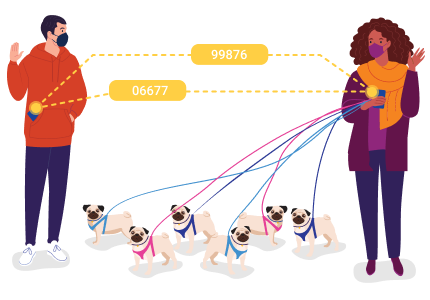 Illustration of a woman and a man outside, about eight feet apart, waving hi to each other. Each of them has a smartphone with Exposure Identification, which is automatically exchanging anonymous identifiers. Each of them is wearing a face mask. The woman is walking six pugs, each on a leash.