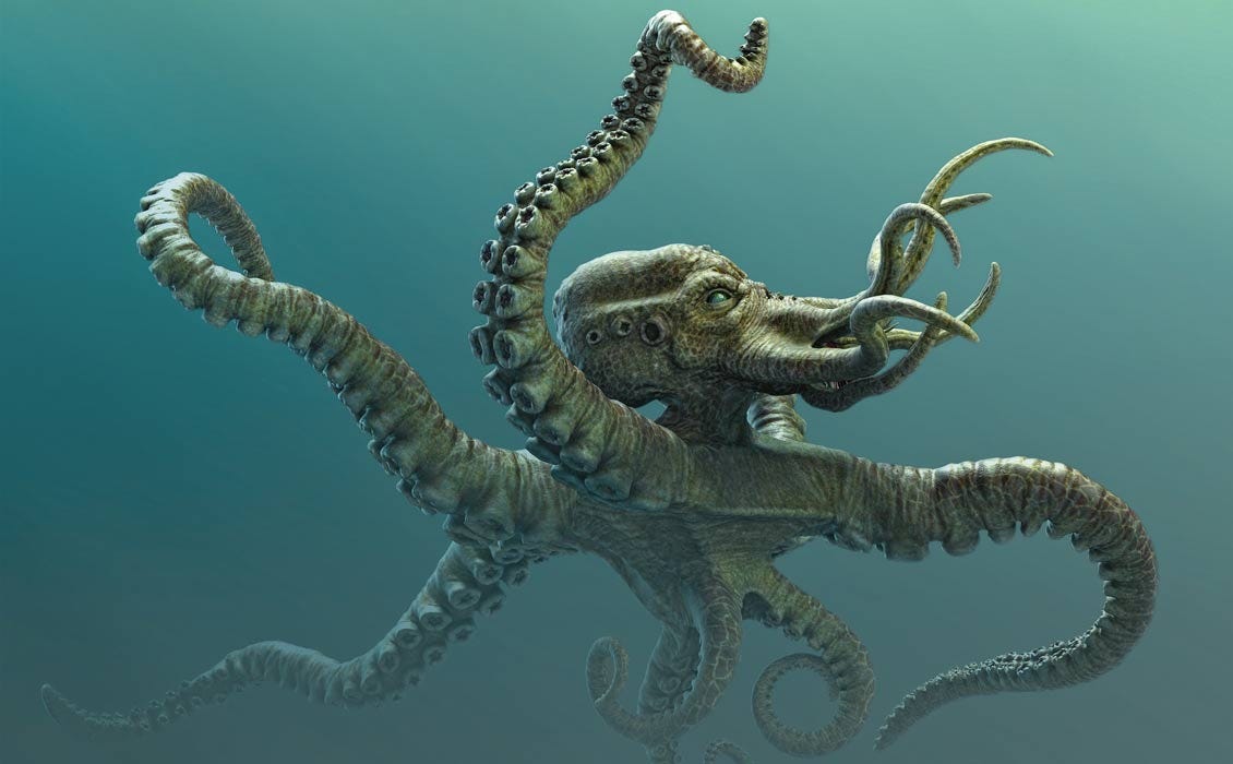 The Legendary Kraken: The Real Animal Behind the Monster | Ancient Origins