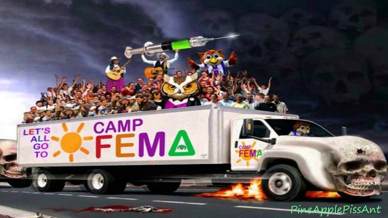 Fema camps 2018