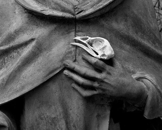 a imagem é uma fotografia em preto e branco do detalhe da mão de uma estátua segurando o crânio de um pássaro