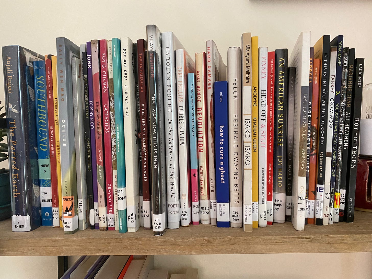 A close up of a shelf of library books, most of them skinny books of poetry, as well as The Parted Earth and Southbound by Anjali Enjeti. 