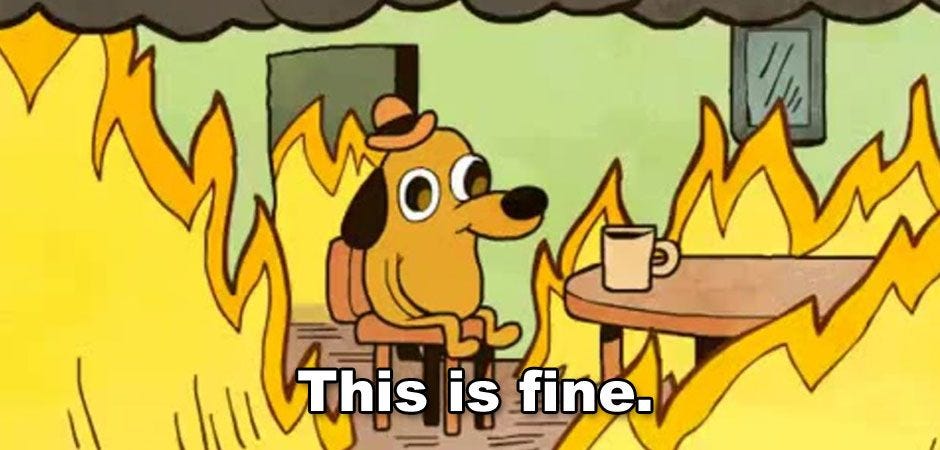 15 GIFs For When Your Life is a Mess but You&#39;re Pretending It&#39;s FINE | This  is fine dog, Memes, This is fine meme