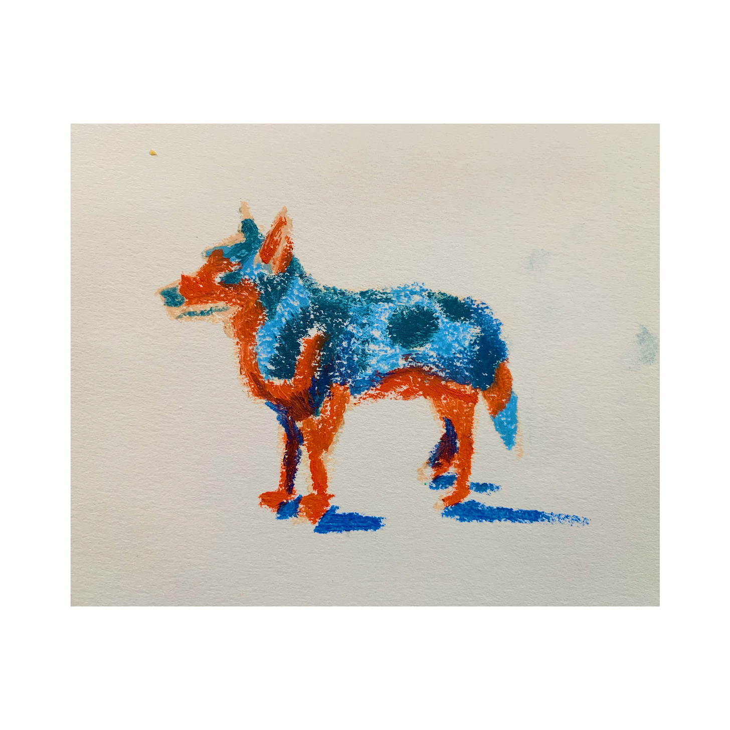 a sketch of a blue heeler in red and blue crayon
