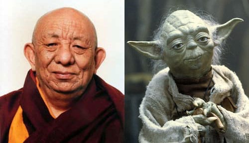 Was Yoda based on this Buddhist master? - Lions Roar