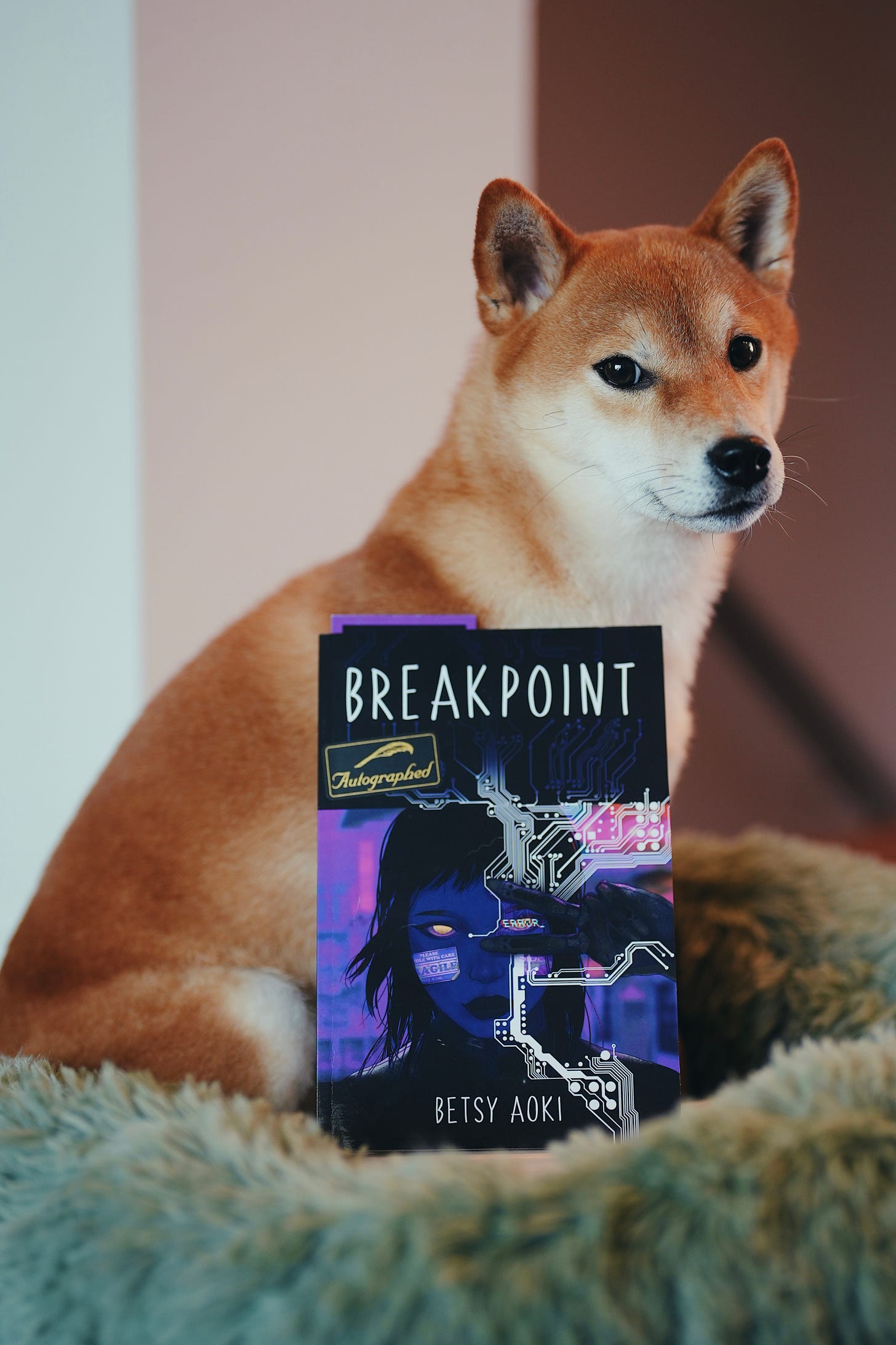 A shiba inu looking at the viewer, sitting in a fluffy green bed. She is beside a book: Breakpoint, by Betsy Aoki.