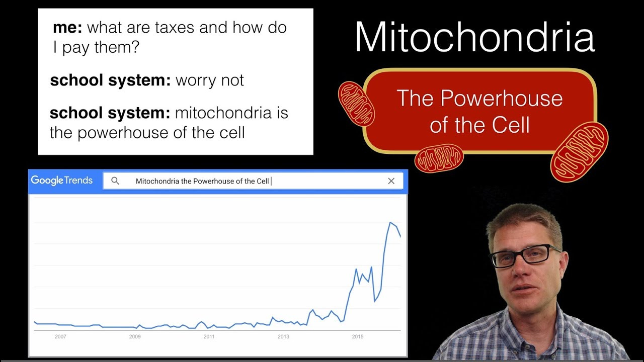 Mitochondria: The Powerhouse of the Cell - YouTube
