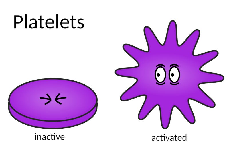 Two platelets portrayed as comic characters. The inactive platelet is a flat disc that has its eyes squeezed shut. The activated platelet looks a bit like a star with many long 'arms', and its eyes are wide open.