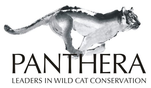 Panthera_Logo