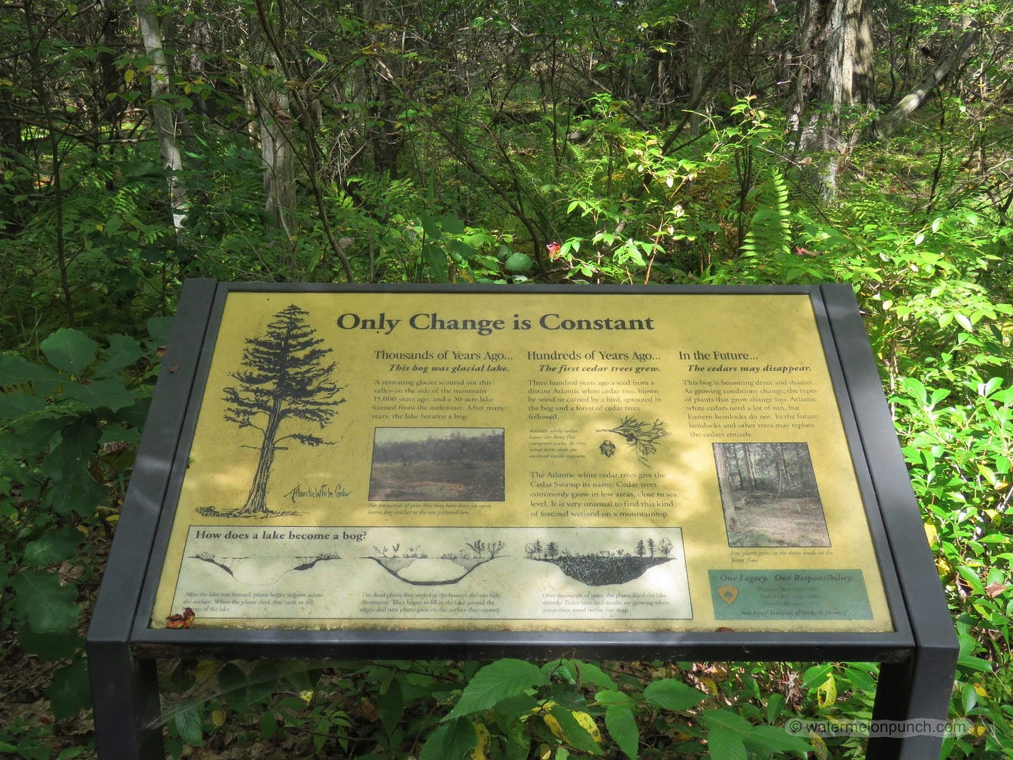 Photo of a trail information interpretive sign with the heading stating “Only Change is Constant” surrounded by green bushes, trees, and ferns.