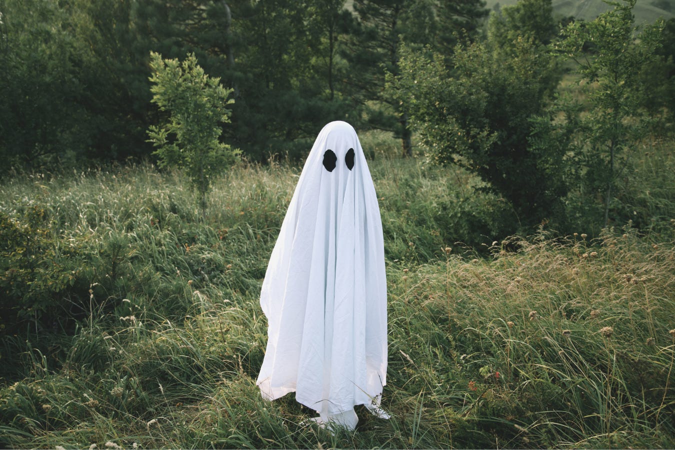 Ghost = Unscary. Plus, Unemployed Founders, Unoriginal Kodachrome, and an Unconventional Museum!