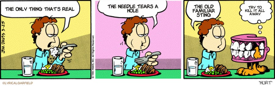 Original Garfield comic from March 25, 1993

Text replaced with lyrics from: Hurt
