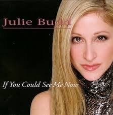 julie budd - if you could see me now CD 2000 sin-drone 14 tracks used mint