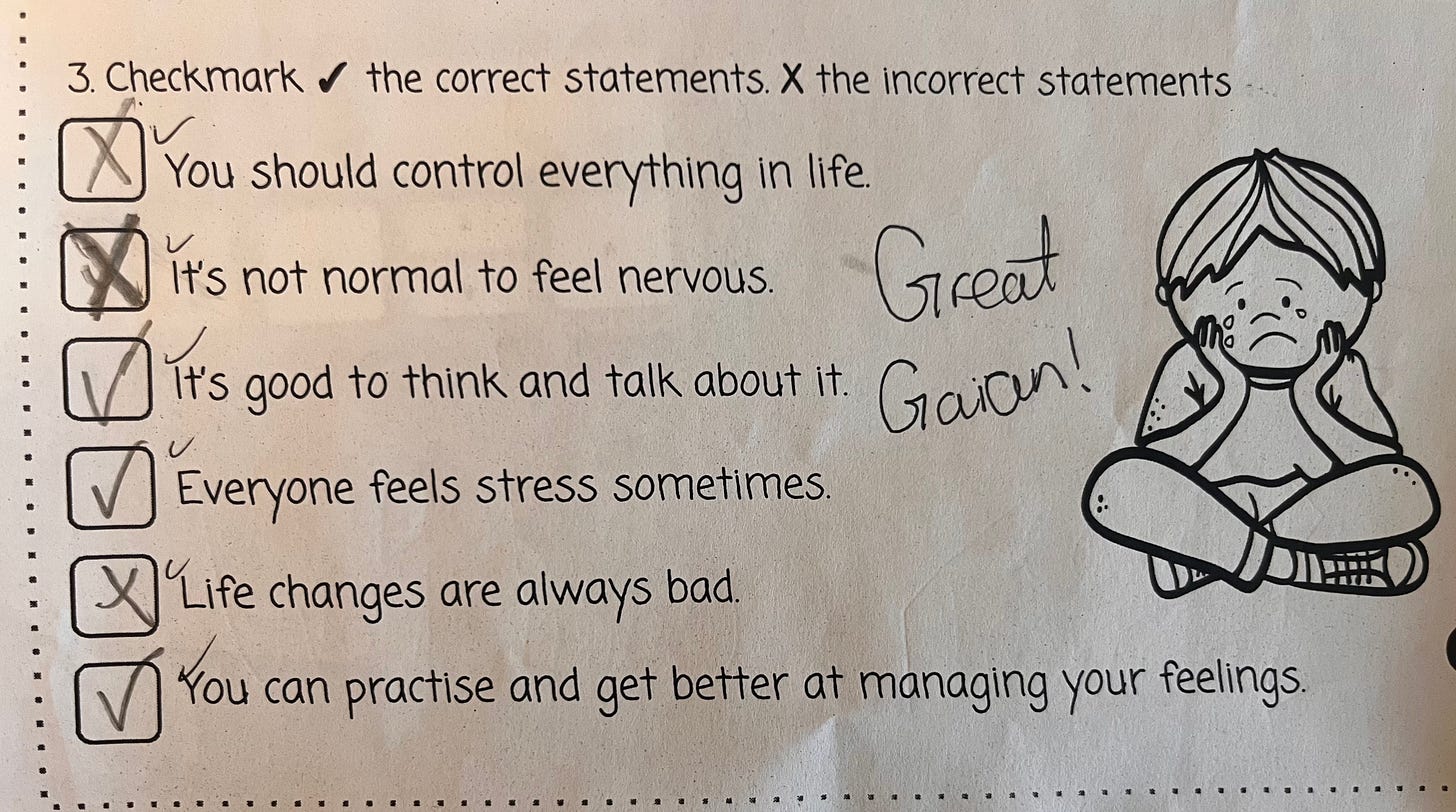 A school assignment that reads 3. Checkmark the correct statements and X the incorrect statements. X You should control everything in life. X it’s not normal to feel nervous. Check It’s good to think and talk about it. Check everyone feels stress somethings. X life changes are always bad. Check You can practise and get better at managing your feelings