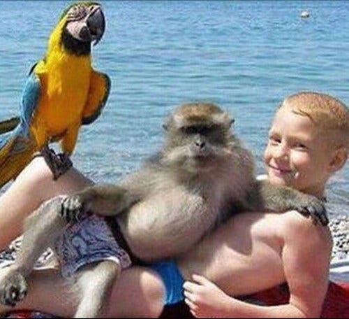 Hello baby 😏

🦅
🐒
🙋🏼‍♂️
🌊

#cursed #cursedpost #cursedpic #cursedpicture #wtf #memes #meme #nocontext #nocontextimage #cursedimage #cursedmeme #curse