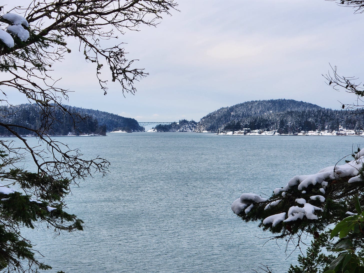 looking across bay at bridge with forested hills covered with snow