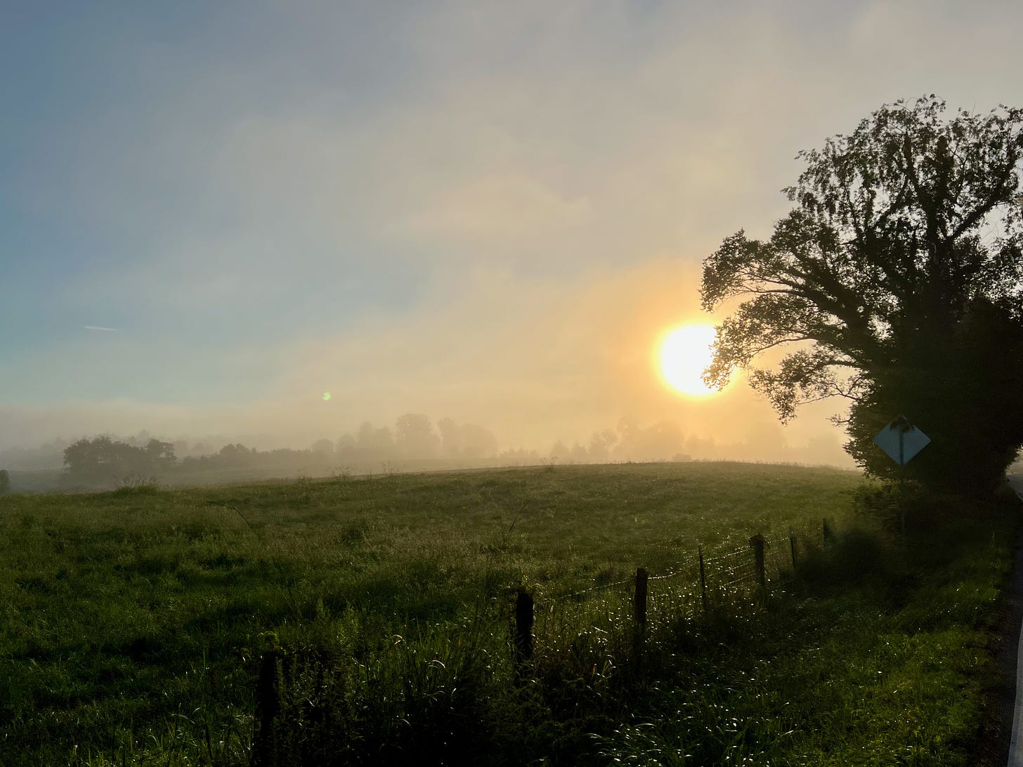 Foggy shot looking back