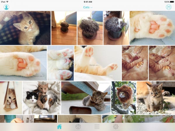 典型的App使用案例，看不完的貓咪相片。
