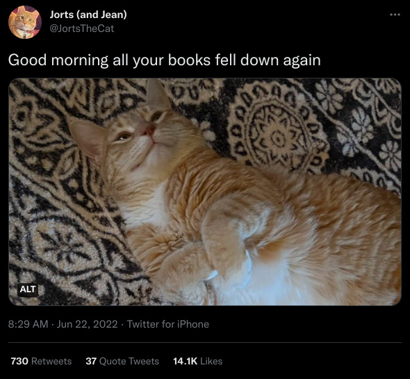 Jorts laying on the carpet with a wry smile, the caption reads "Good morning, all your books fell down again."