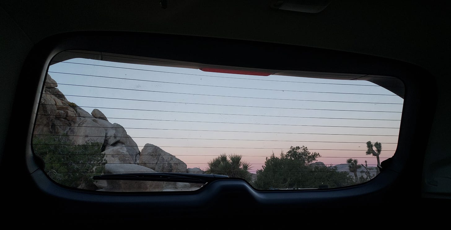 The view of a purple, red, and blue sky in the morning silhouetting Joshua Trees and partially blocked by boulders on the left as seen through the back window of a vehicle's hatchback.