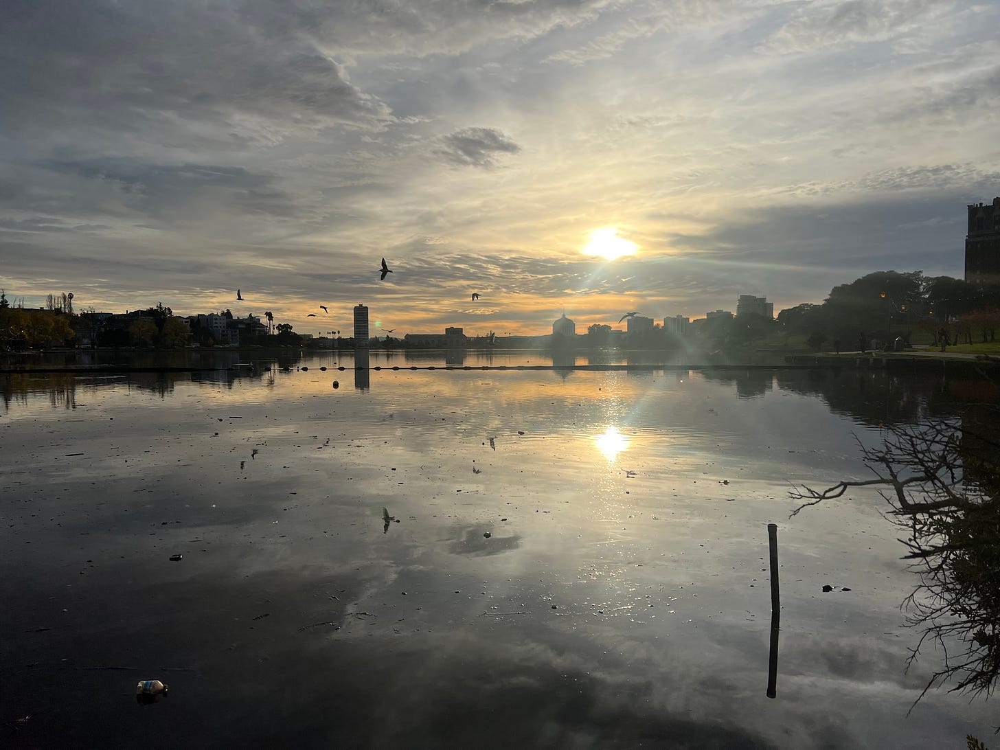 a shot of lake merritt, a large man-made body of water, in Oakland, CA. the sun peeks through the clouds, birds fly in the sky, and buildings are visible along the horizon. 