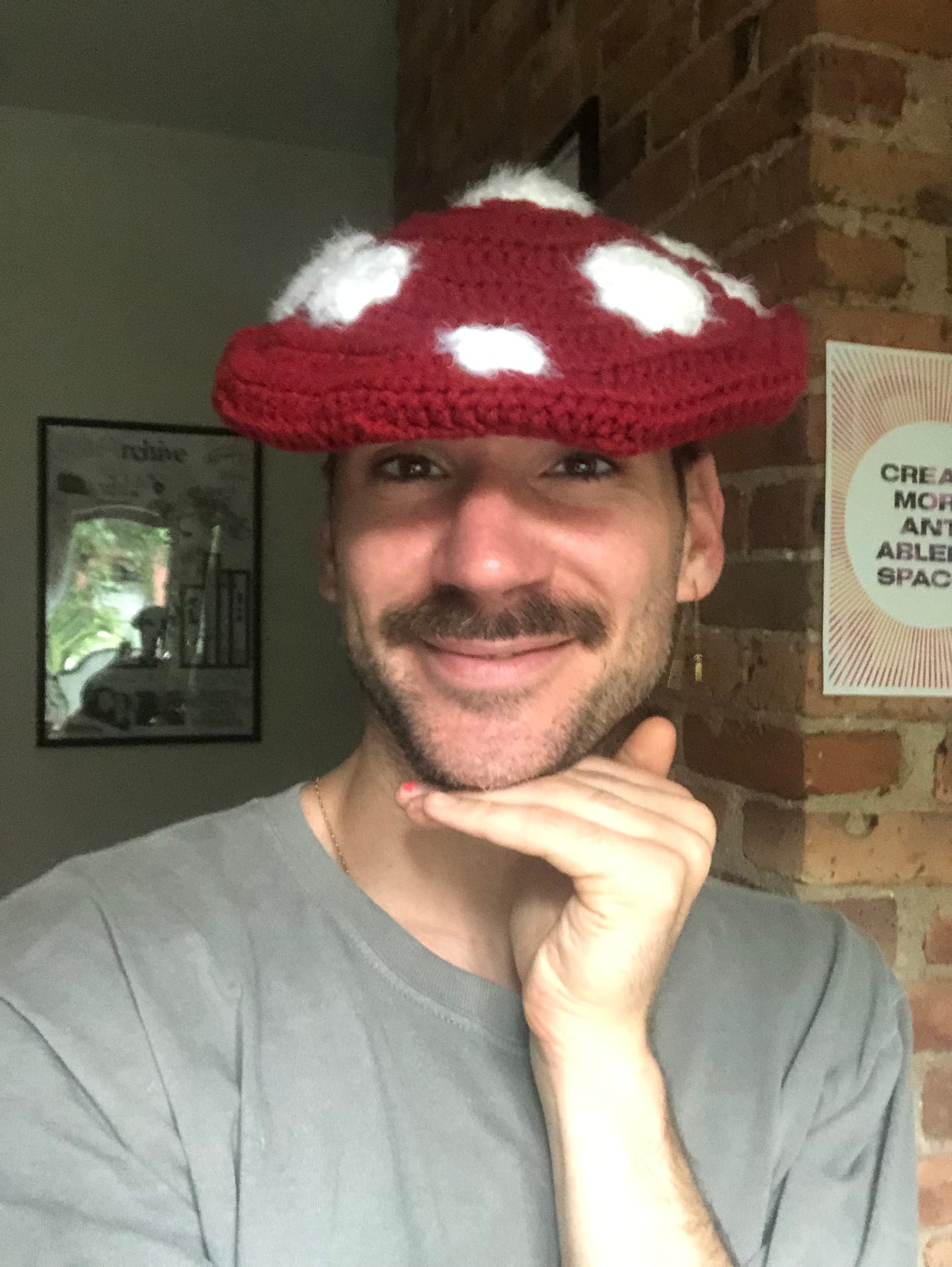 This is me! A scruffy white person with a mustache, wearing a red knit hat that looks like the doctoral tam that’s hanging not too far away in my home office on unceded Lenape land also known as Brooklyn. The hat is red and luxuriantly fuzzy white dots on top, making it look like the cartoonish ways magic mushrooms are often represented.