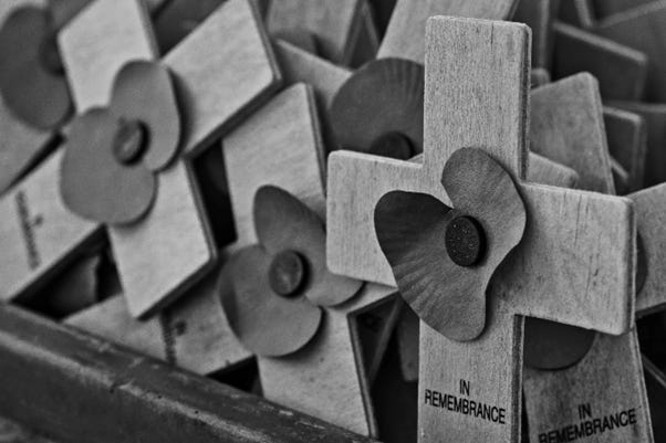 wooden crosses bearing poppies with the inscription - in remembrance
