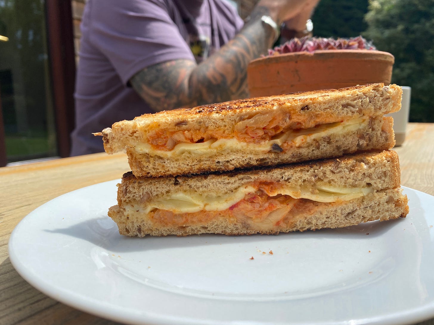 Sandwich sliced in two, placed on a white plate. Open ends of the sandwich shows a filling of cheddar cheese and kimchi. A person sits behind eating.