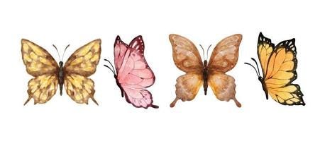 Colorful butterflies watercolor isolated on white background. Brown, pink,  yellow and orange butterfly. Spring animal vector illustration 9288822  Vector Art at Vecteezy