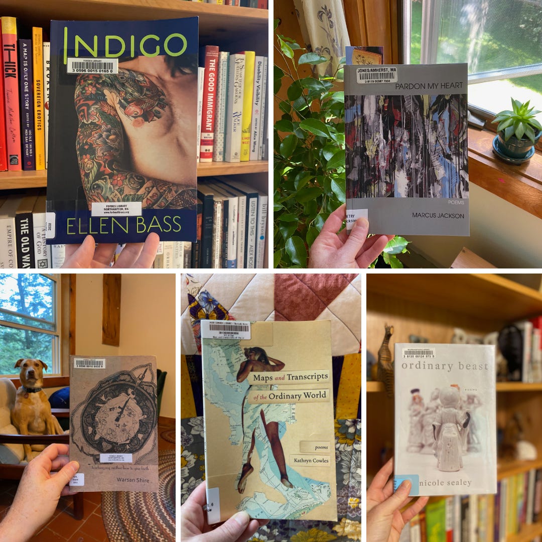 A collage of photos of my hand holding up poetry books against different backgrounds. The books are: Indigo, Pardon My Heart, Teaching My Mother How to Give Brith, Maps and Transcripts of the Ordinary World, and Ordinary Beast.