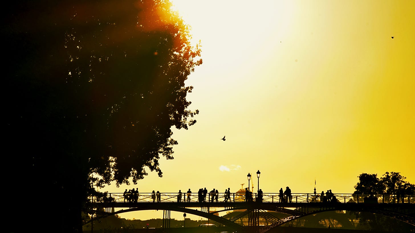 Golden skies, summer tree overhanging bridge with pedestrians, birds in flight