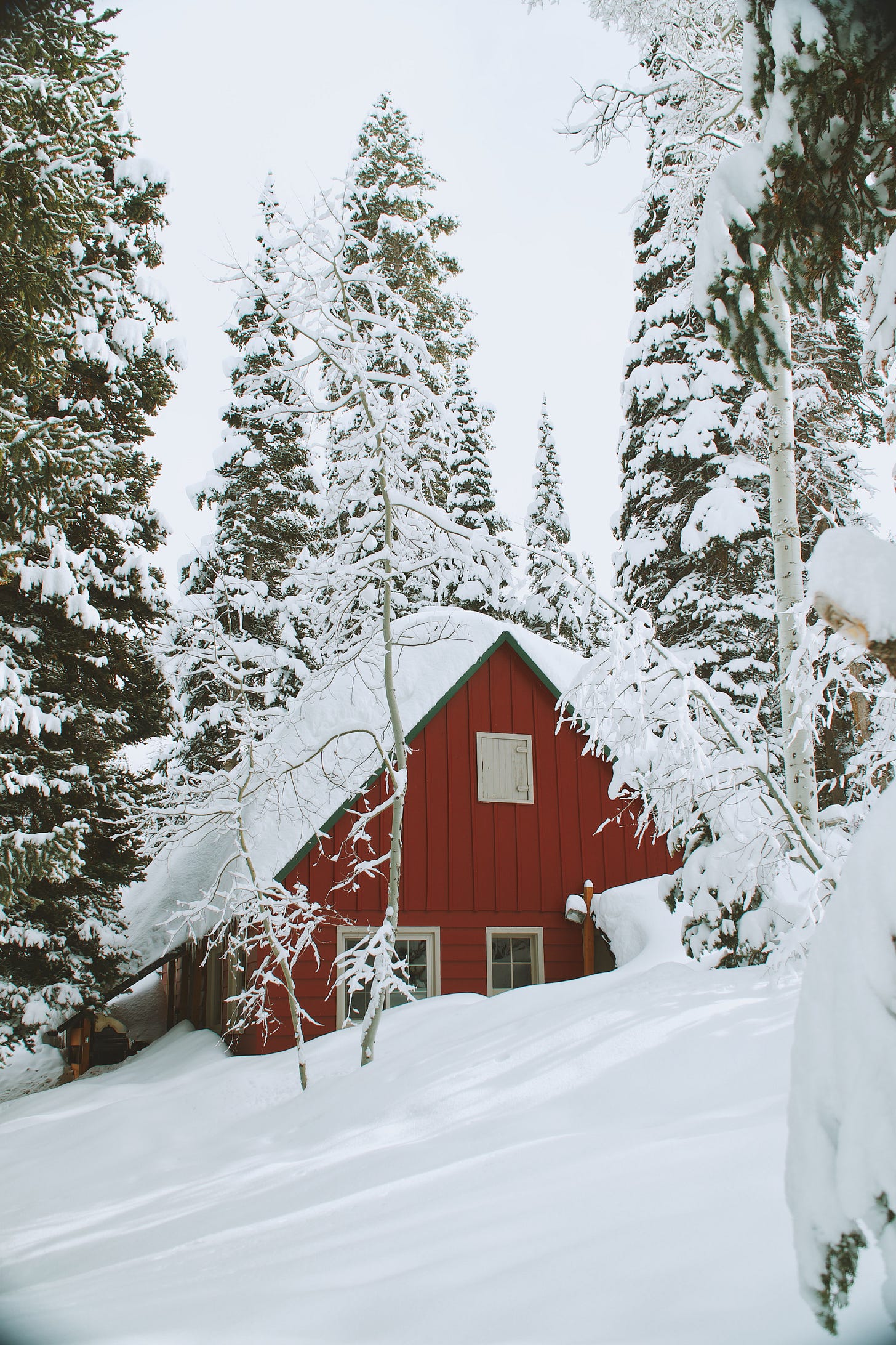 soiree aesthetically pleasing barn snow and woods