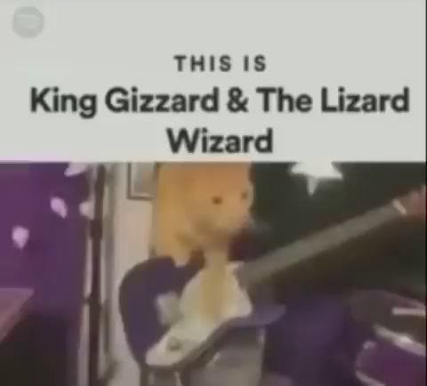 Kinggizzardandthelizardwizard memes. Best Collection of funny  Kinggizzardandthelizardwizard pictures on iFunny