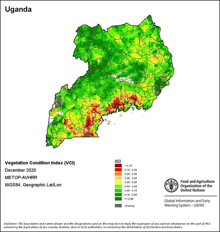 GIEWS map of vegetation condition in Uganda