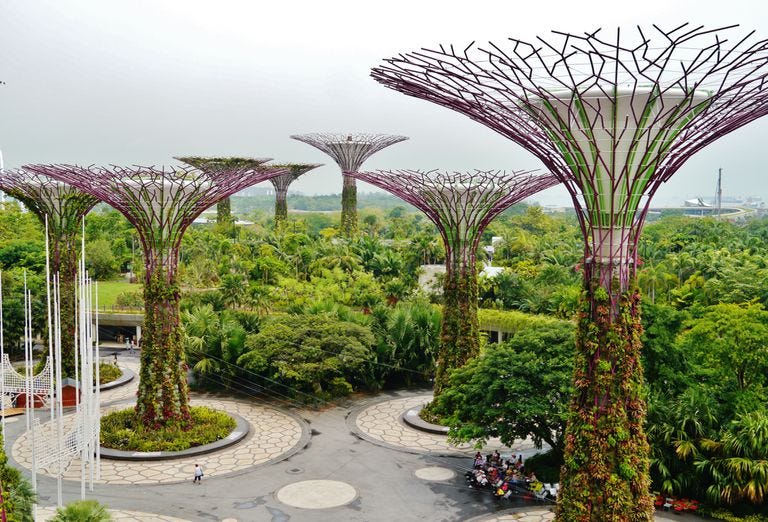 Super Tree Grove in Singapore's Gardens By the Bay show giant multicolored solar trees in a botanical setting.