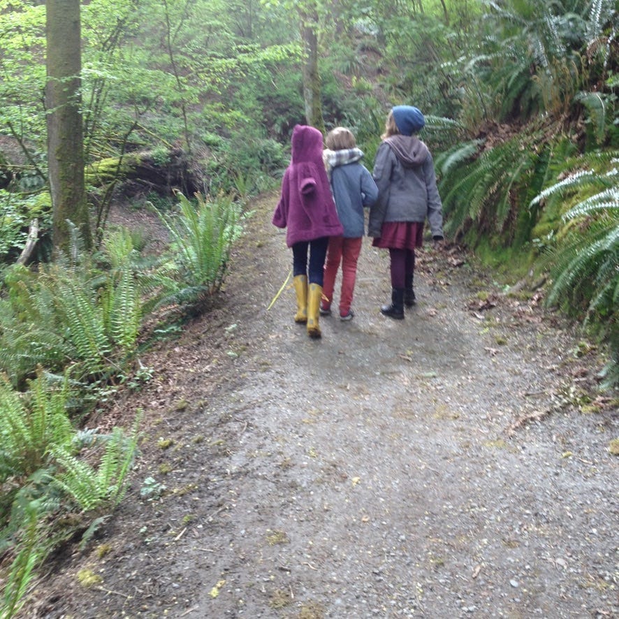 Three kids in jackets and rain boots, walk away down a path in a ferny forest.