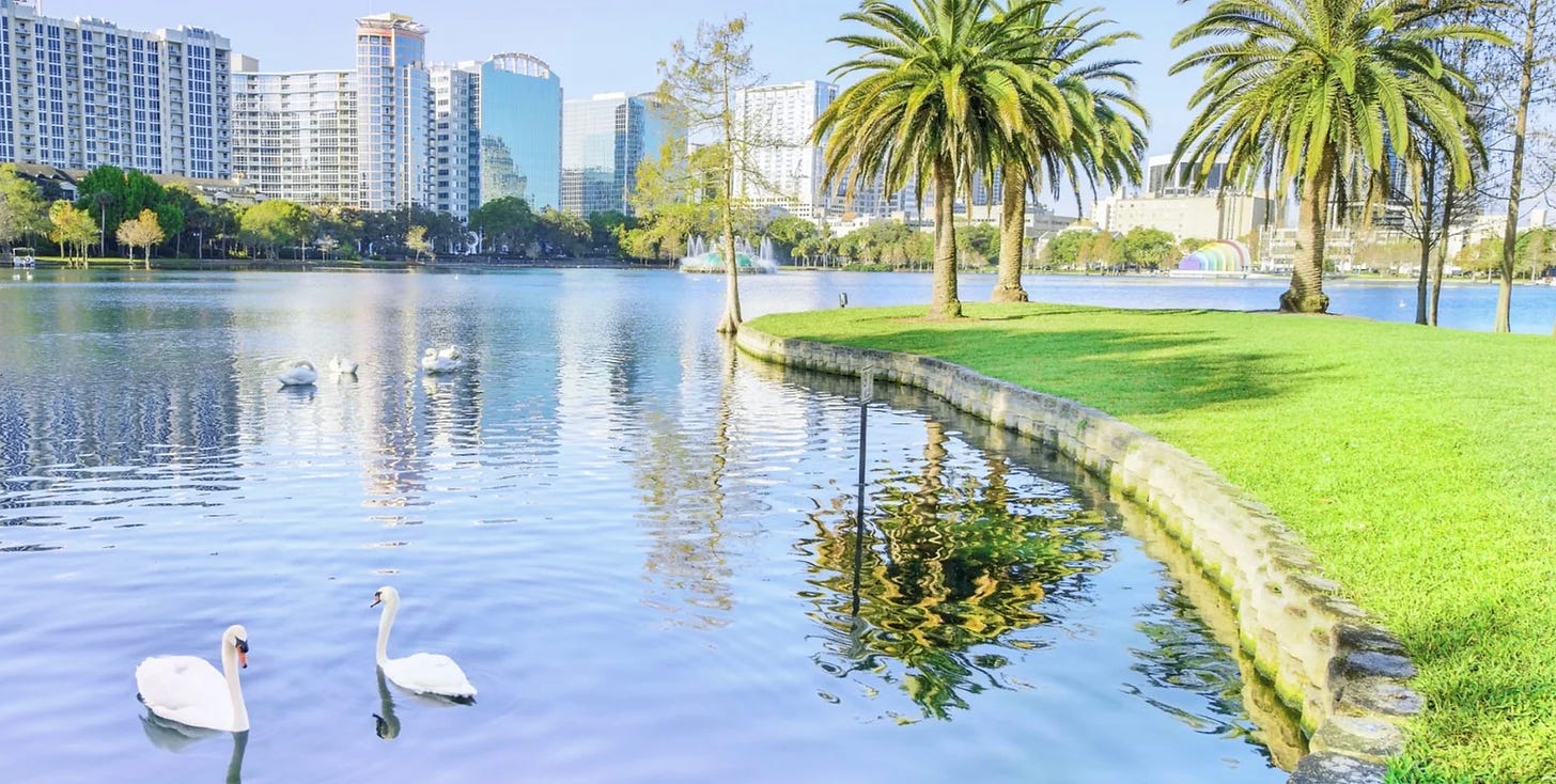 A lake with swans in it, with a Florida city to one side and green grass to the other