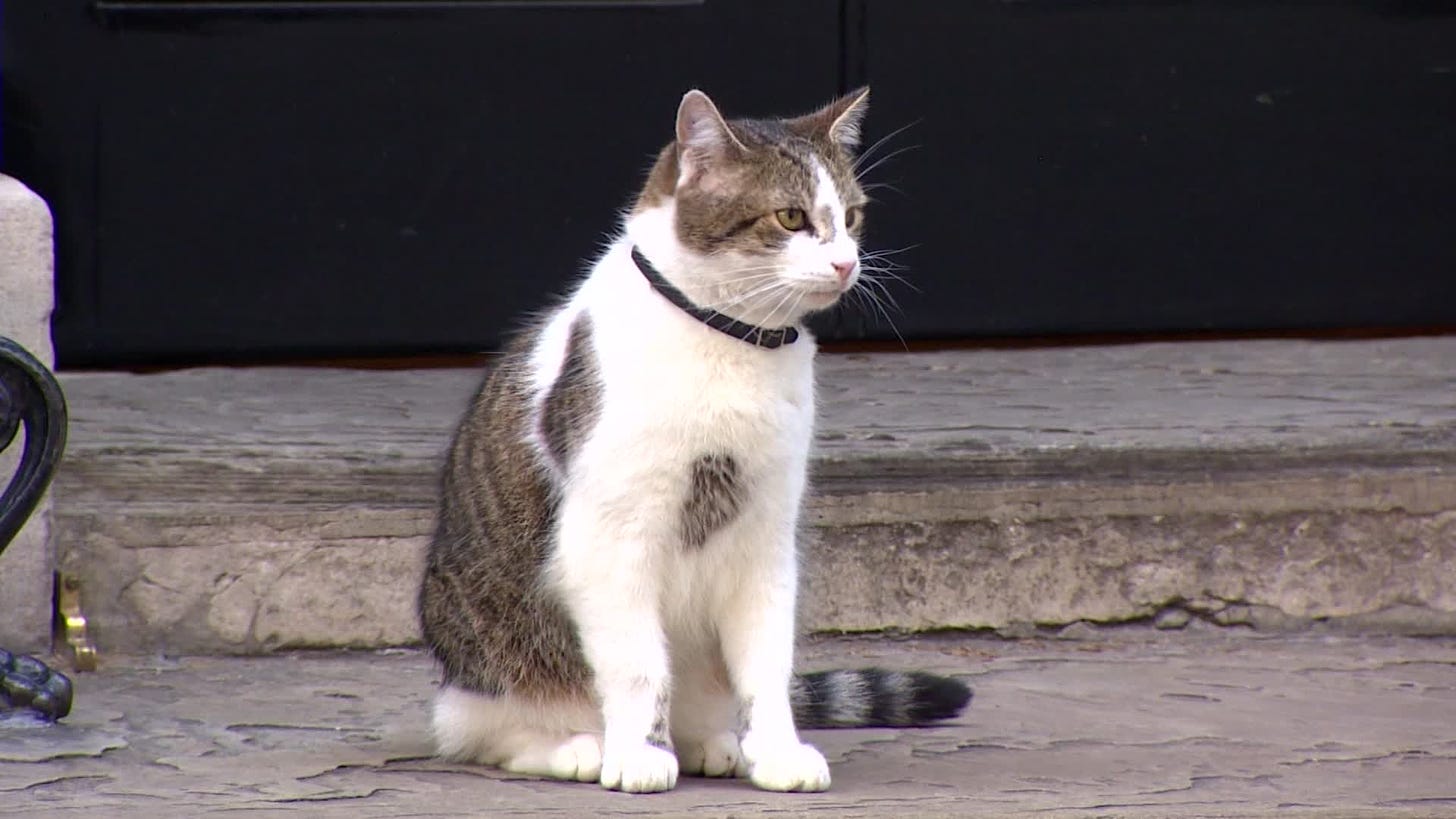 A picture of Larry the Cat sitting in front of the door of 10 Downing Street.