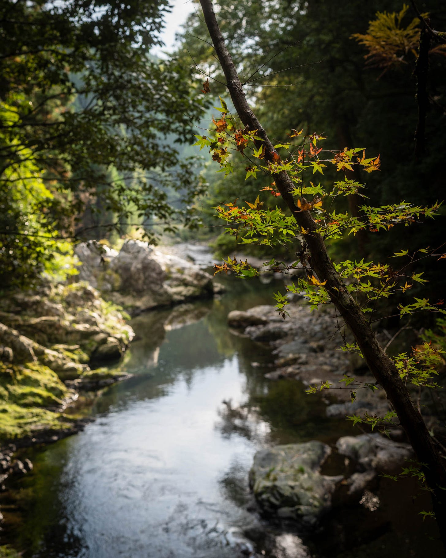 Takao and the Kiyotaki River