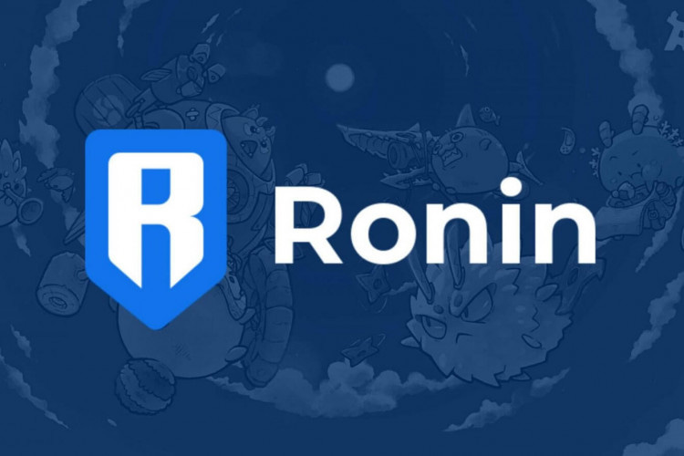 Axie Infinity's Ronin Sidechain Hacked - CoinShark