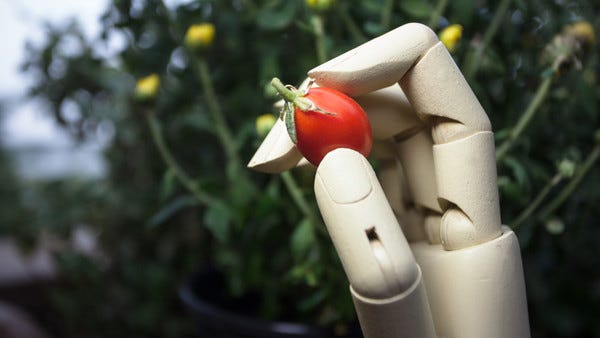 Máquinas Aprendendo A Criar Sabores