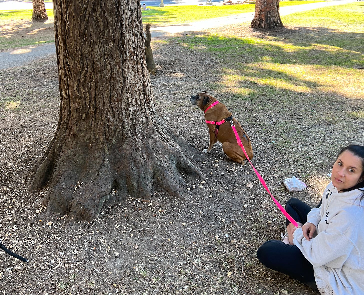 A squirrel descends the tree to meet Martha!