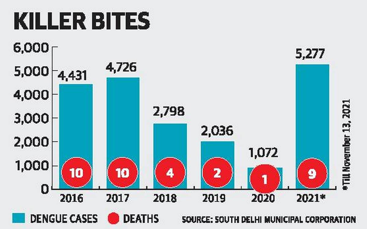 Dengue cases in Capital cross 5,000; death toll remains at 9 - The Hindu