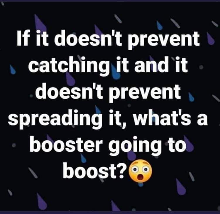 May be an image of text that says 'If it doesn't prevent catching it and it doesn't prevent spreading it, what's a booster going to boost?'