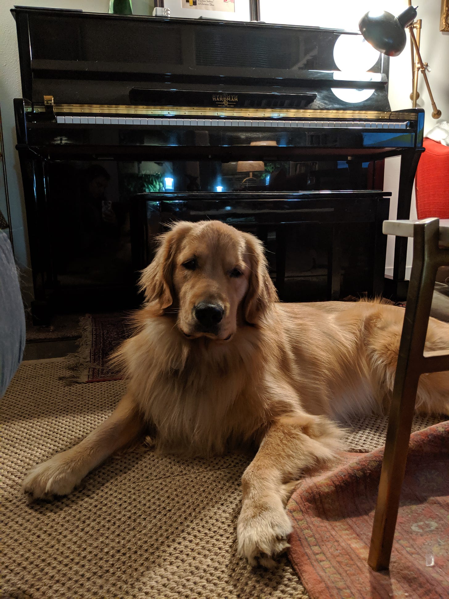 Walter in repose in front of a piano