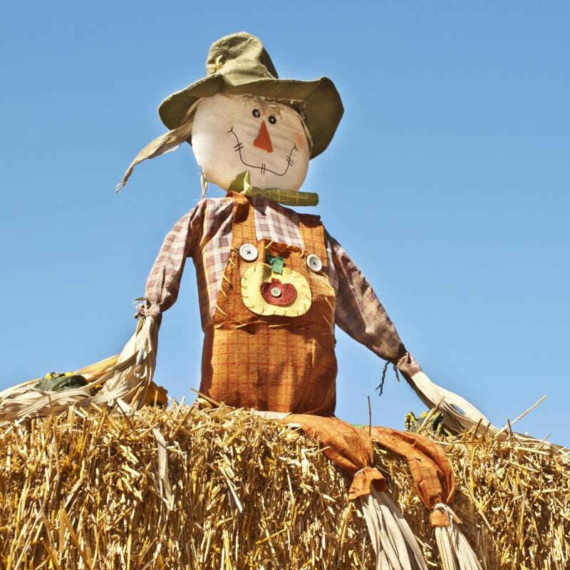What is a Straw Man Argument? (with picture)
