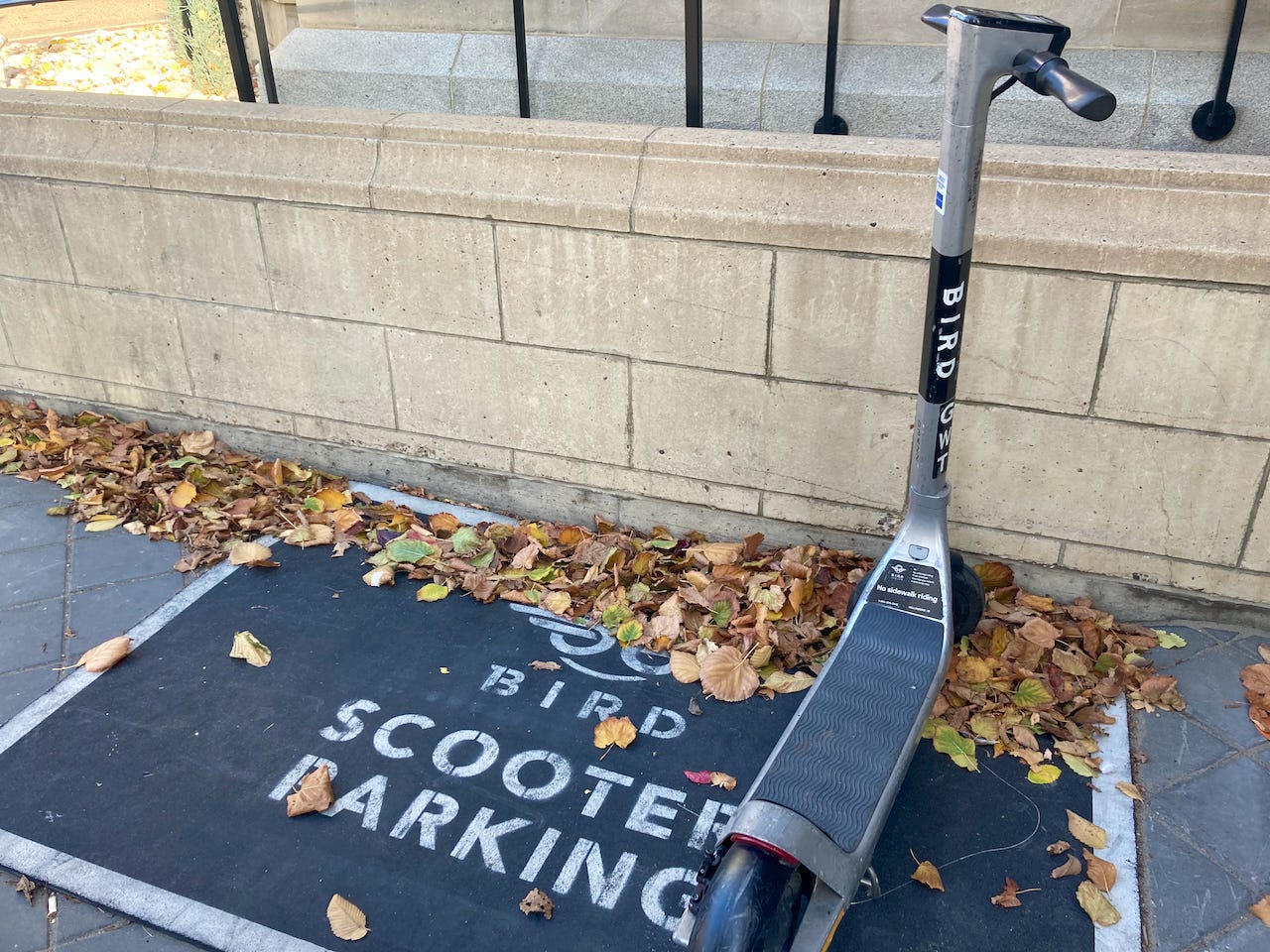 A Bird scooter in Edmonton, Canada.