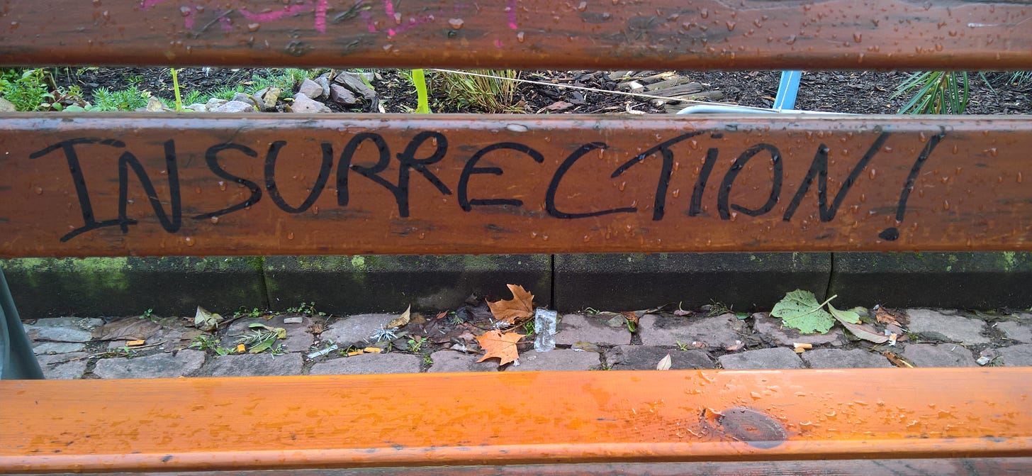 "Insurrection" written on a fence.