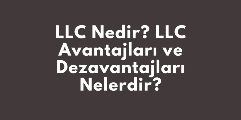 LLC Nedir? Avantajları ve Dezavantajları